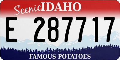 ID license plate E287717