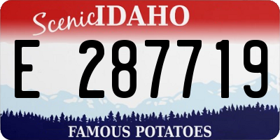 ID license plate E287719