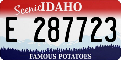 ID license plate E287723
