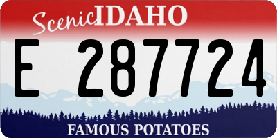 ID license plate E287724