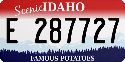 ID license plate E287727