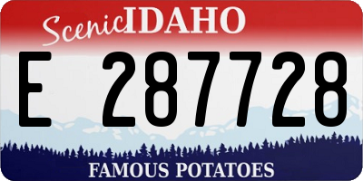 ID license plate E287728