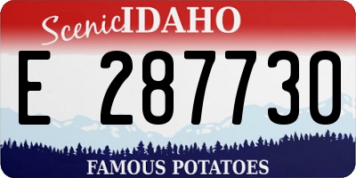 ID license plate E287730