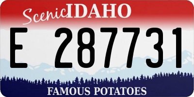 ID license plate E287731