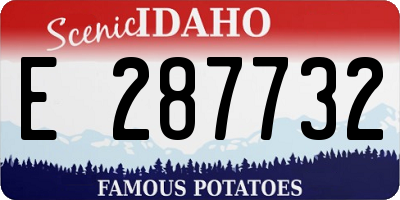 ID license plate E287732