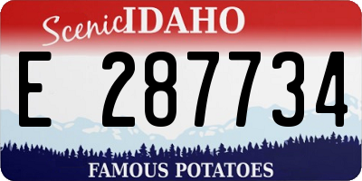 ID license plate E287734