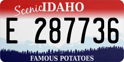 ID license plate E287736