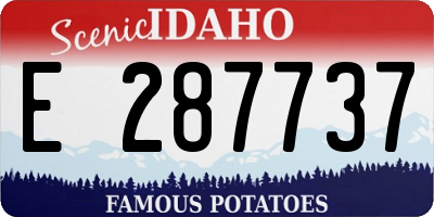 ID license plate E287737
