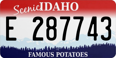 ID license plate E287743