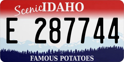 ID license plate E287744