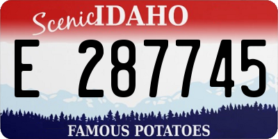 ID license plate E287745