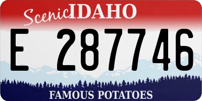 ID license plate E287746