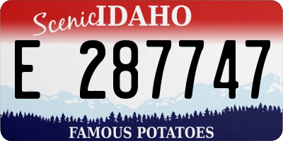 ID license plate E287747