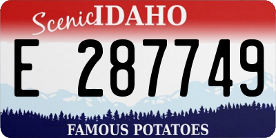 ID license plate E287749
