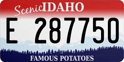 ID license plate E287750