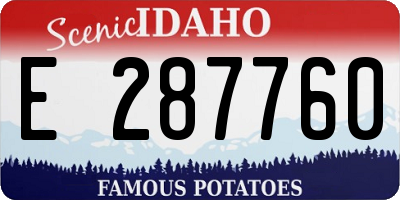 ID license plate E287760