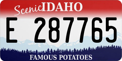 ID license plate E287765