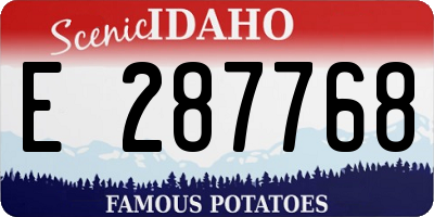 ID license plate E287768
