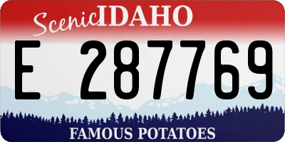 ID license plate E287769