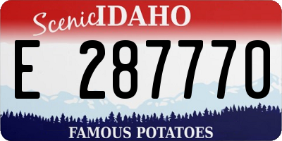 ID license plate E287770