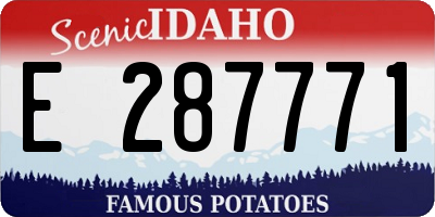 ID license plate E287771