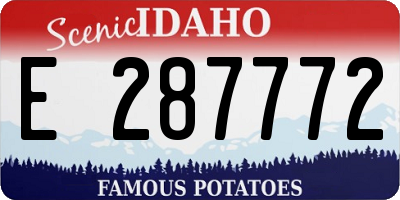 ID license plate E287772