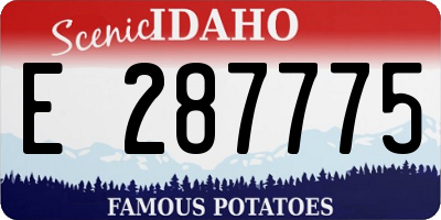 ID license plate E287775
