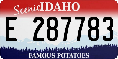 ID license plate E287783