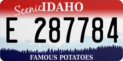 ID license plate E287784
