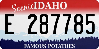 ID license plate E287785