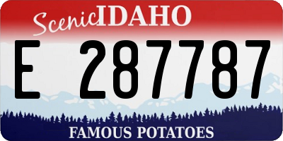ID license plate E287787