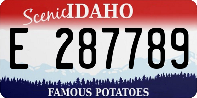 ID license plate E287789