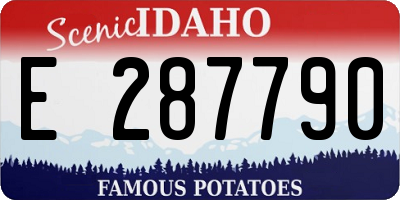 ID license plate E287790