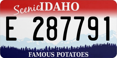 ID license plate E287791