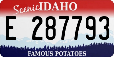 ID license plate E287793