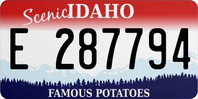 ID license plate E287794
