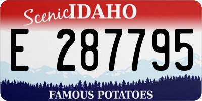 ID license plate E287795
