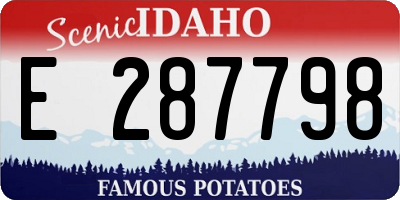 ID license plate E287798