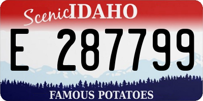 ID license plate E287799
