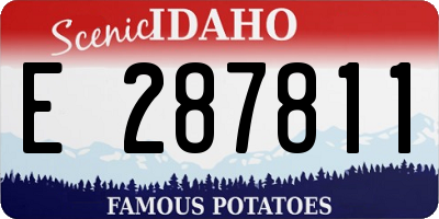 ID license plate E287811