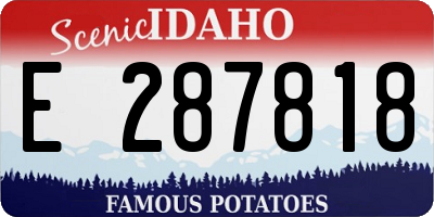 ID license plate E287818