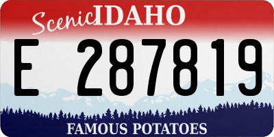 ID license plate E287819