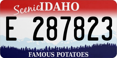 ID license plate E287823