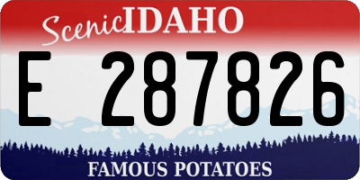 ID license plate E287826