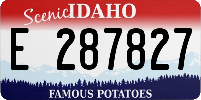 ID license plate E287827