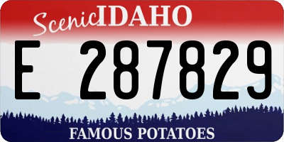 ID license plate E287829