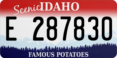 ID license plate E287830