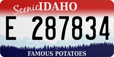 ID license plate E287834