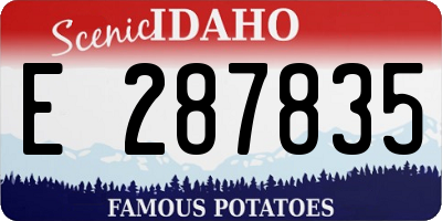 ID license plate E287835
