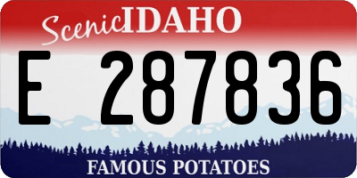 ID license plate E287836